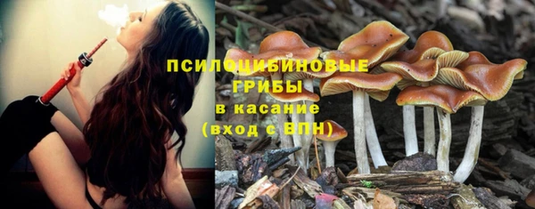 сатива Армянск