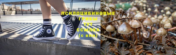 гашишное масло Аркадак