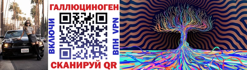 наркота  Свирск  Псилоцибиновые грибы прущие грибы 